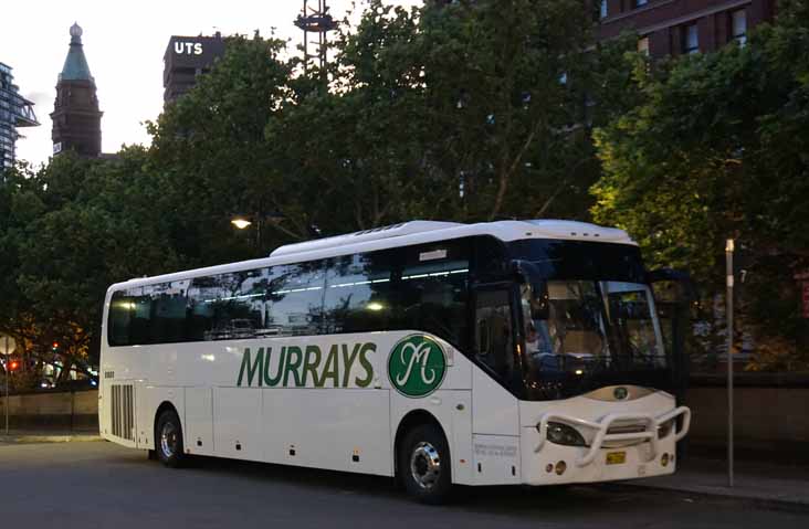 Murrays BCI Cruiser 13 801